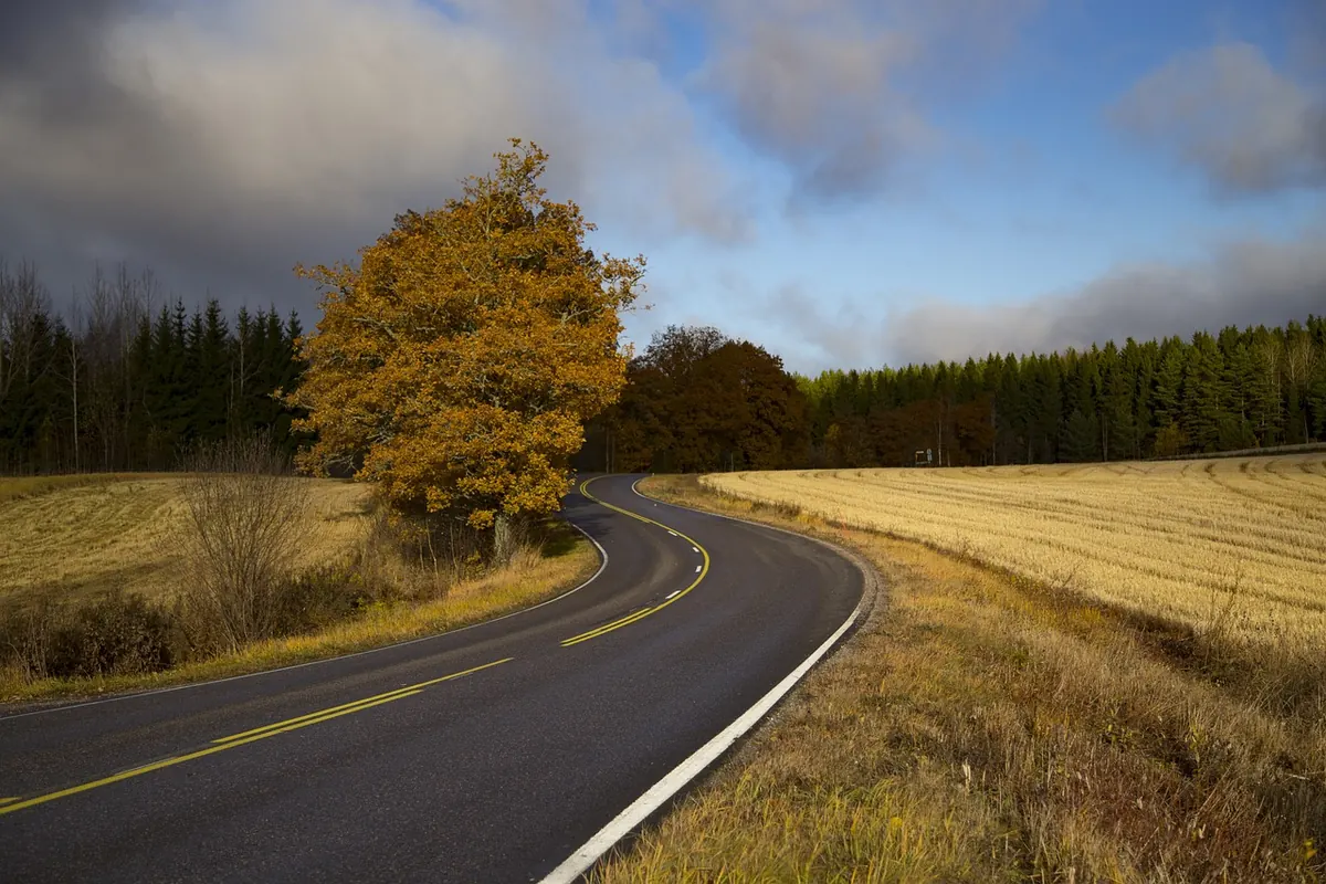 Autumn Road Trips in Dorset: 5 Scenic Routes for Leaf-Peepers